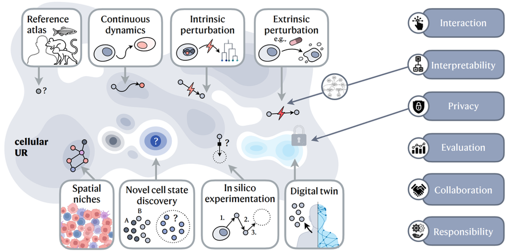 AI4Science
